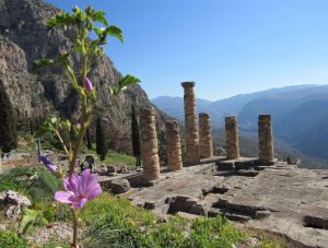 Delphi Archaeological Sites 008